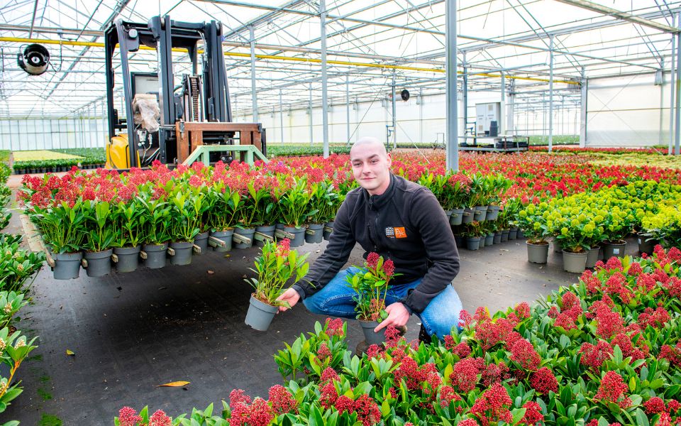Afbeelding van verhaal Bartosz Sobczak ‘You’re given opportunities to grow’