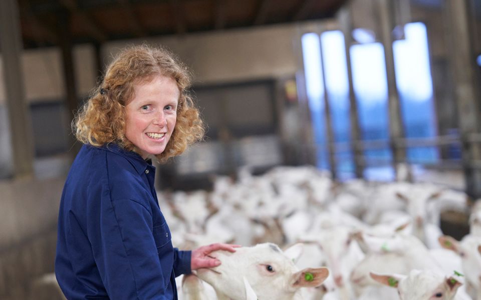 Afbeelding van verhaal Goat milker Evelien Moren is always cheered by ‘her’ goats